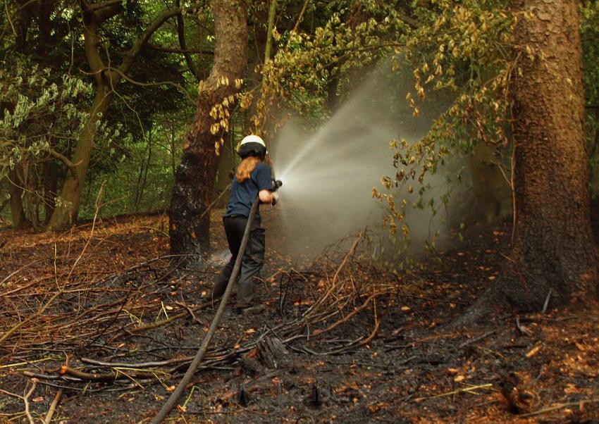 Waldbrand Bergisch Gladbach Bensberg P172.JPG